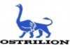 Ellmann Historical Portfolio Organization 91